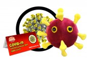 Giant Microbes - Coronavirus